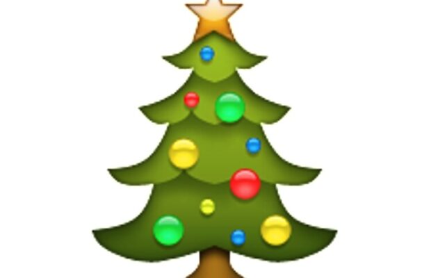 Christmas Wish